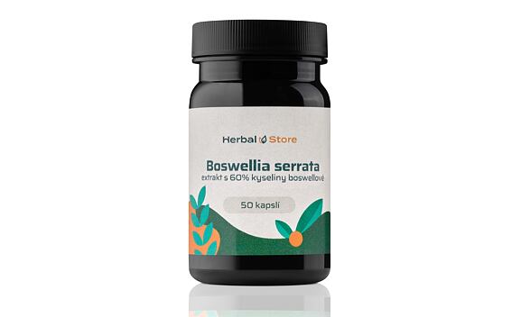 Boswellia serrata kapsule - extrakt so 65 % kyseliny boswellovej